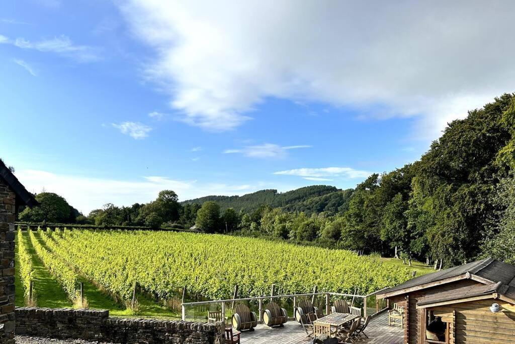 Vineyard Country Cottage Llanerch-Aeron Bagian luar foto